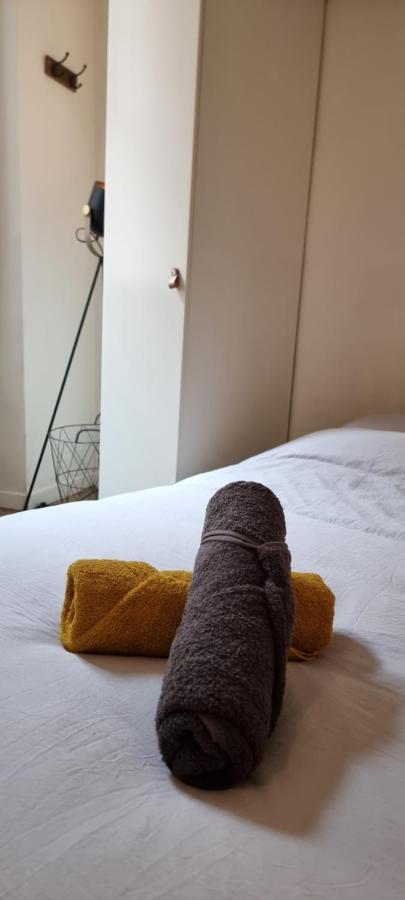 Apartament Studio En Rdc - Quai De Garonne - Capitole - Wifi Tuluza Zewnętrze zdjęcie